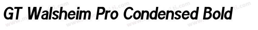 GT Walsheim Pro Condensed Bold字体转换